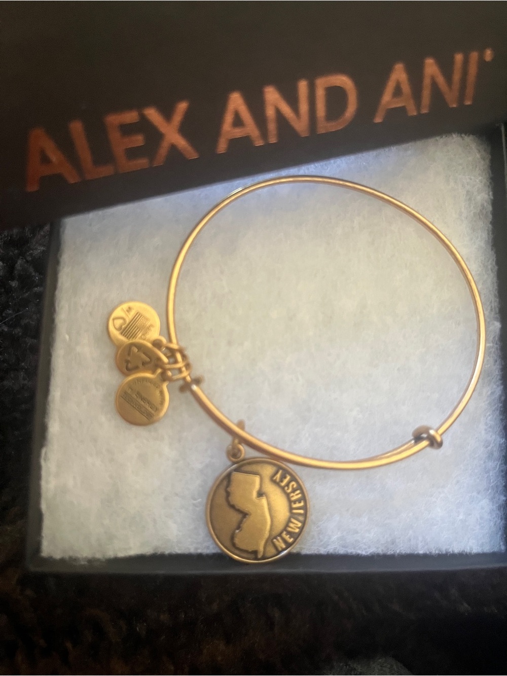 Alex & Ani New Jersey Charm Bangle  Bracelet Adjustable NIB *Retired*
